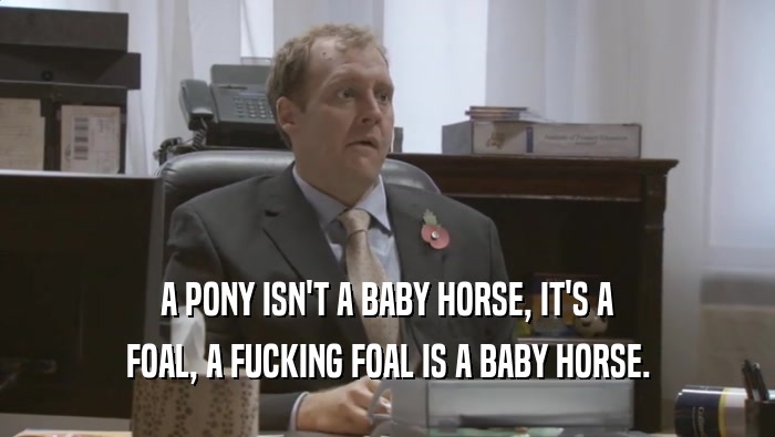 A PONY ISN'T A BABY HORSE, IT'S A FOAL, A FUCKING FOAL IS A BABY HORSE. 