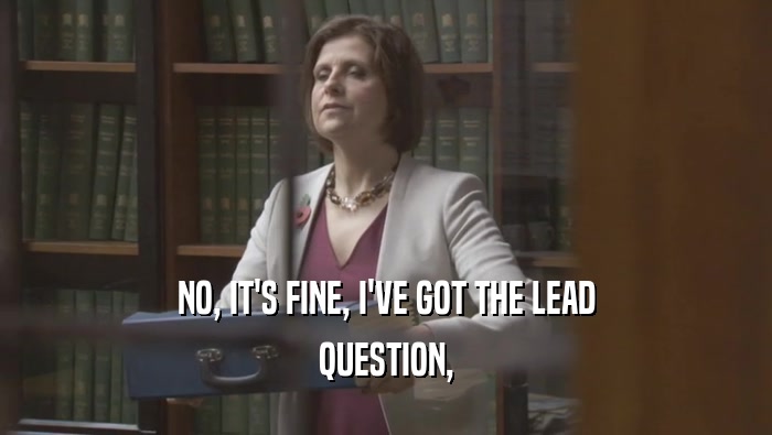 NO, IT'S FINE, I'VE GOT THE LEAD QUESTION, 