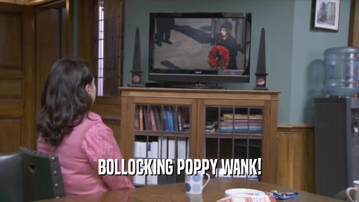 BOLLOCKING POPPY WANK!
  
