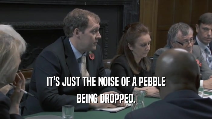 IT'S JUST THE NOISE OF A PEBBLE BEING DROPPED. 
