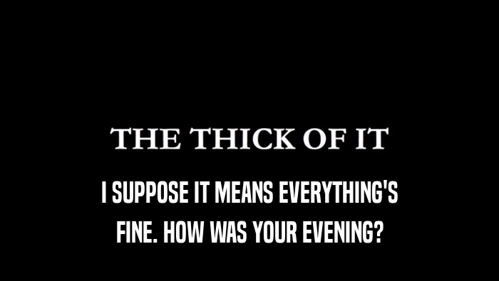 I SUPPOSE IT MEANS EVERYTHING'S FINE. HOW WAS YOUR EVENING? 