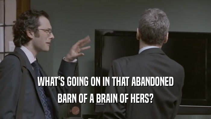 WHAT'S GOING ON IN THAT ABANDONED BARN OF A BRAIN OF HERS? 