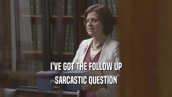 I'VE GOT THE FOLLOW UP SARCASTIC QUESTION 