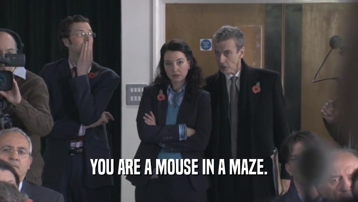 YOU ARE A MOUSE IN A MAZE.  