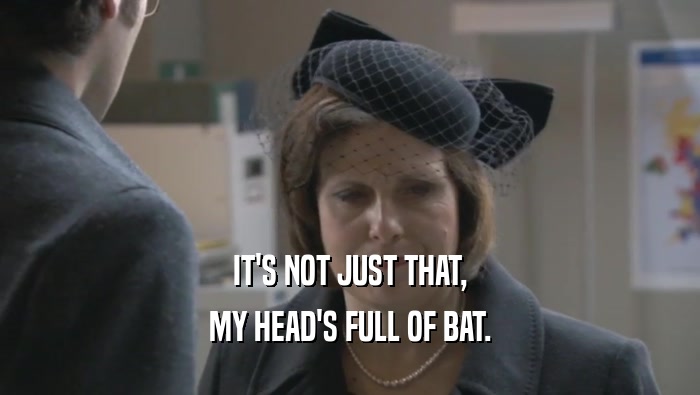IT'S NOT JUST THAT, MY HEAD'S FULL OF BAT. 