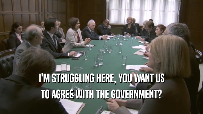 I'M STRUGGLING HERE, YOU WANT US TO AGREE WITH THE GOVERNMENT? 