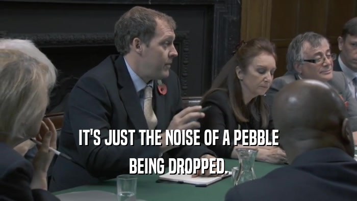 IT'S JUST THE NOISE OF A PEBBLE BEING DROPPED. 