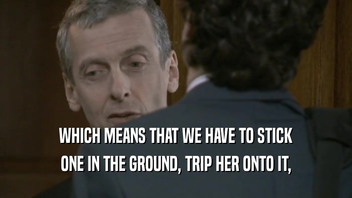 WHICH MEANS THAT WE HAVE TO STICK ONE IN THE GROUND, TRIP HER ONTO IT, 