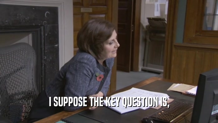 I SUPPOSE THE KEY QUESTION IS,  