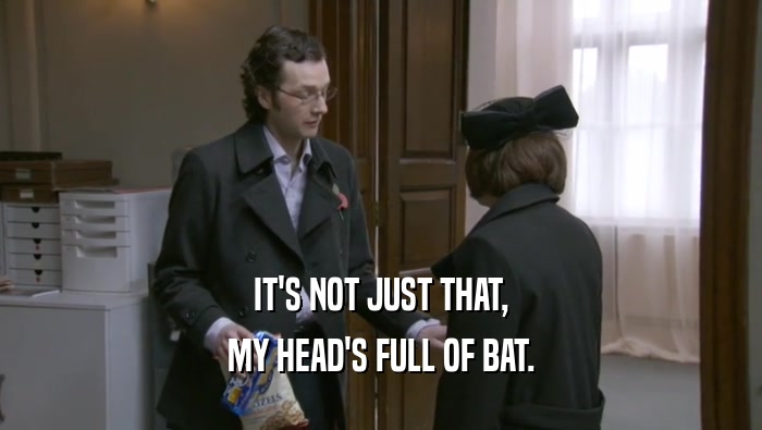 IT'S NOT JUST THAT, MY HEAD'S FULL OF BAT. 