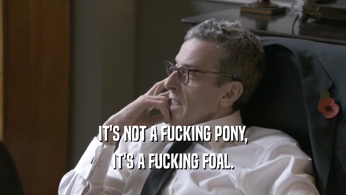 IT'S NOT A FUCKING PONY, IT'S A FUCKING FOAL. 
