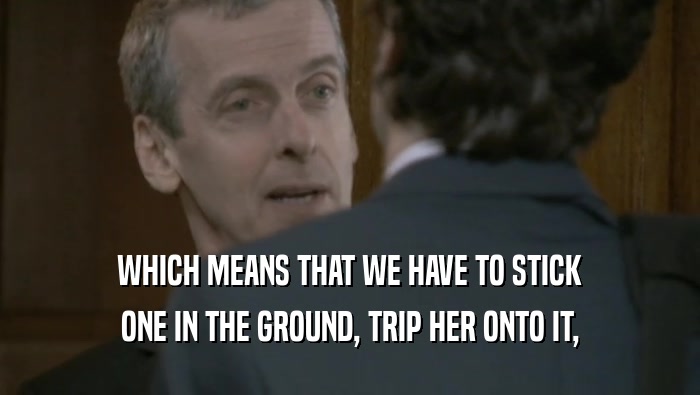 WHICH MEANS THAT WE HAVE TO STICK ONE IN THE GROUND, TRIP HER ONTO IT, 