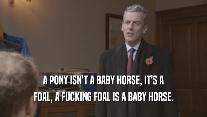 A PONY ISN'T A BABY HORSE, IT'S A FOAL, A FUCKING FOAL IS A BABY HORSE. 