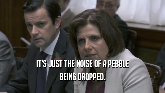 IT'S JUST THE NOISE OF A PEBBLE BEING DROPPED. 