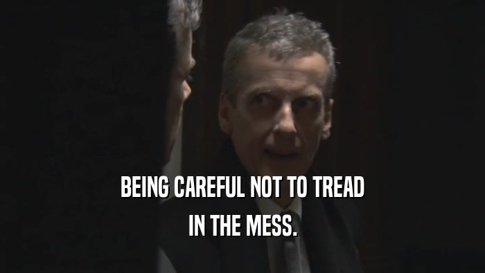 BEING CAREFUL NOT TO TREAD
 IN THE MESS.
 