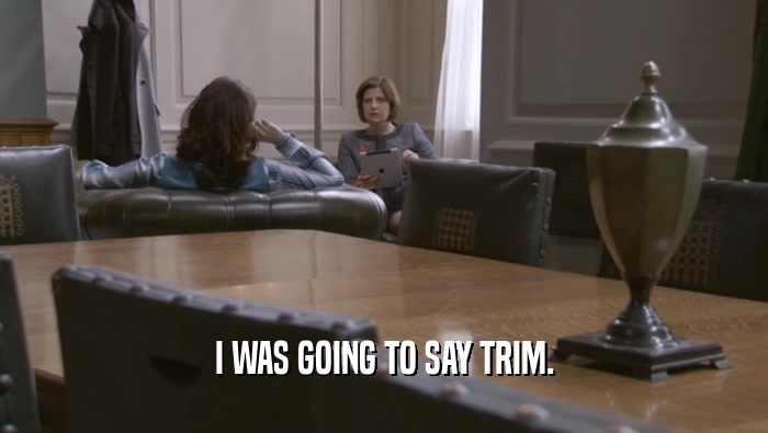 I WAS GOING TO SAY TRIM.  