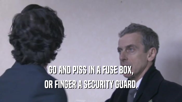 GO AND PISS IN A FUSE BOX, OR FINGER A SECURITY GUARD. 