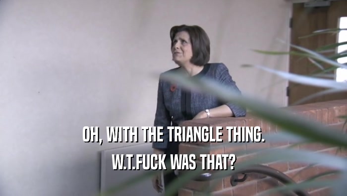OH, WITH THE TRIANGLE THING.
 W.T.FUCK WAS THAT?
 