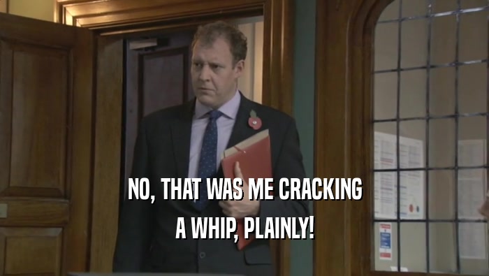 NO, THAT WAS ME CRACKING A WHIP, PLAINLY! 