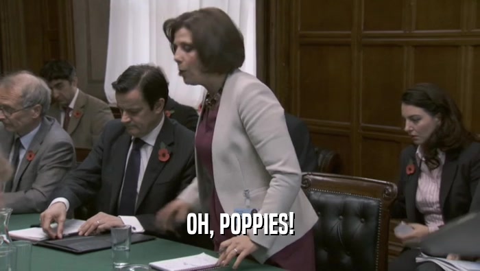 OH, POPPIES!  