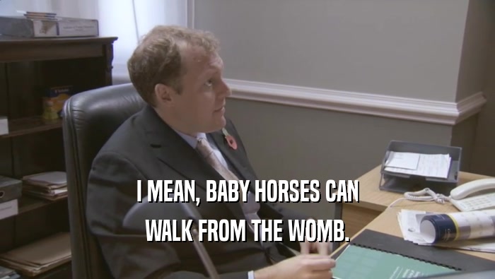 I MEAN, BABY HORSES CAN WALK FROM THE WOMB. 