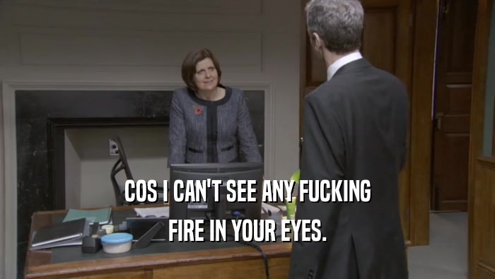 COS I CAN'T SEE ANY FUCKING FIRE IN YOUR EYES. 