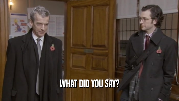 WHAT DID YOU SAY?  