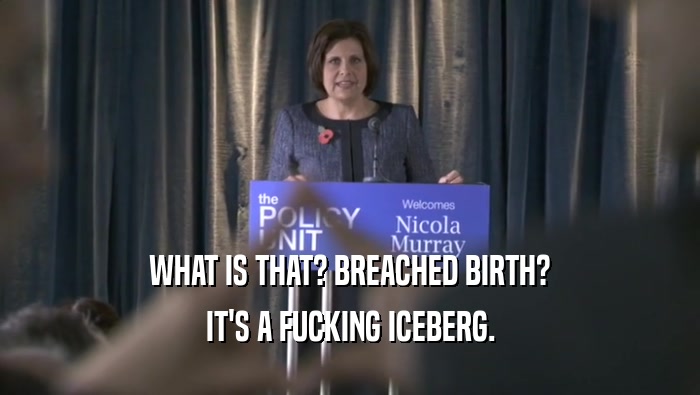 WHAT IS THAT? BREACHED BIRTH?
 IT'S A FUCKING ICEBERG.
 