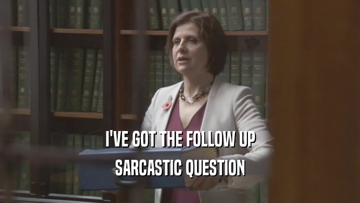 I'VE GOT THE FOLLOW UP SARCASTIC QUESTION 