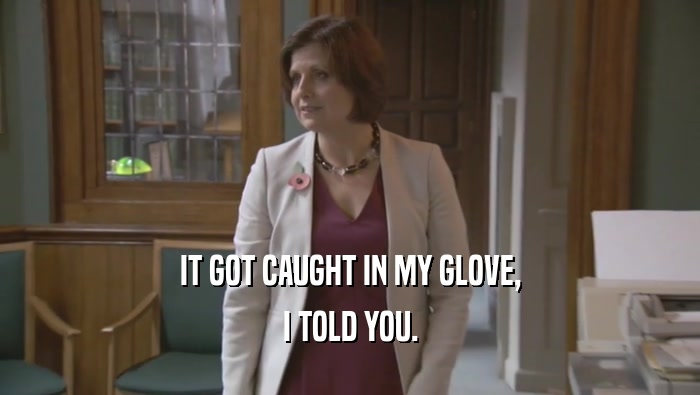 IT GOT CAUGHT IN MY GLOVE, I TOLD YOU. 