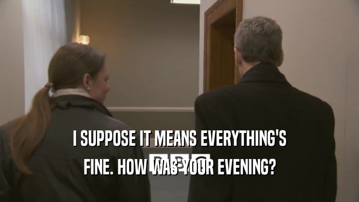 I SUPPOSE IT MEANS EVERYTHING'S FINE. HOW WAS YOUR EVENING? 