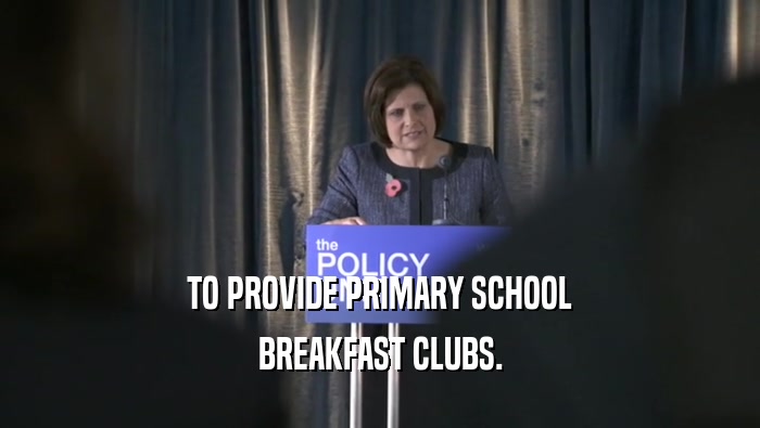 TO PROVIDE PRIMARY SCHOOL
 BREAKFAST CLUBS.
 