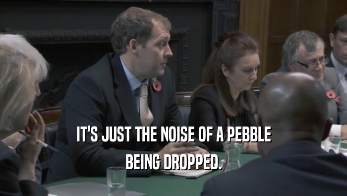IT'S JUST THE NOISE OF A PEBBLE BEING DROPPED. 