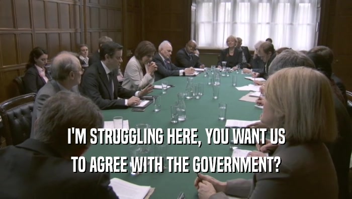 I'M STRUGGLING HERE, YOU WANT US TO AGREE WITH THE GOVERNMENT? 