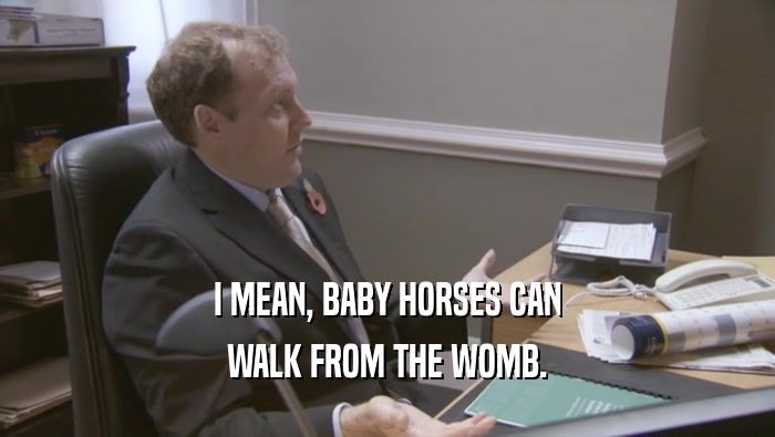 I MEAN, BABY HORSES CAN WALK FROM THE WOMB. 