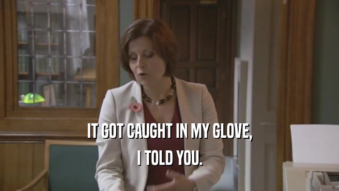 IT GOT CAUGHT IN MY GLOVE, I TOLD YOU. 