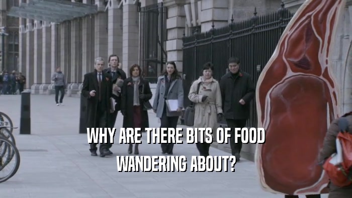 WHY ARE THERE BITS OF FOOD
 WANDERING ABOUT?
 