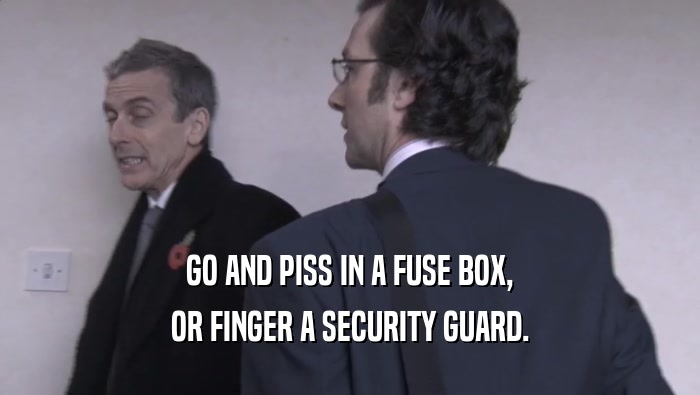 GO AND PISS IN A FUSE BOX, OR FINGER A SECURITY GUARD. 