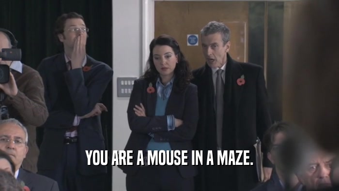 YOU ARE A MOUSE IN A MAZE.
  