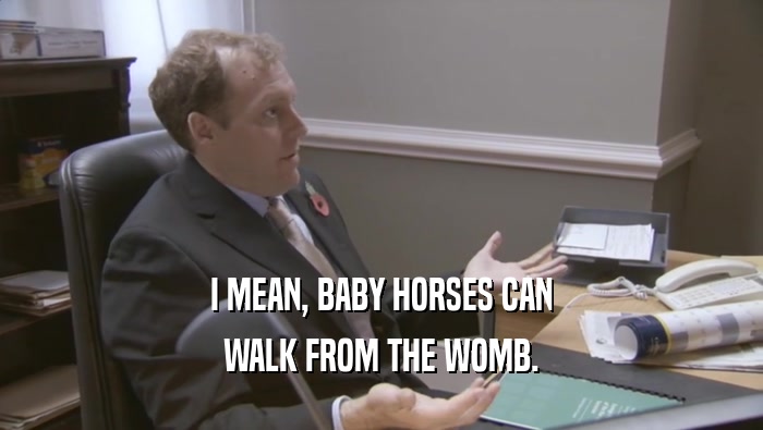 I MEAN, BABY HORSES CAN WALK FROM THE WOMB. 