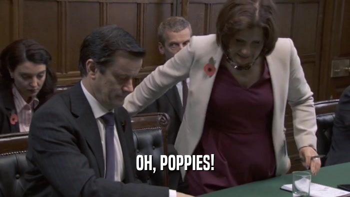 OH, POPPIES!  