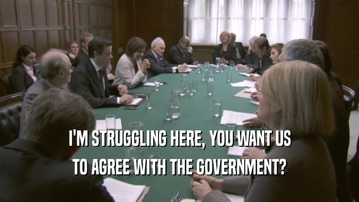 I'M STRUGGLING HERE, YOU WANT US TO AGREE WITH THE GOVERNMENT? 