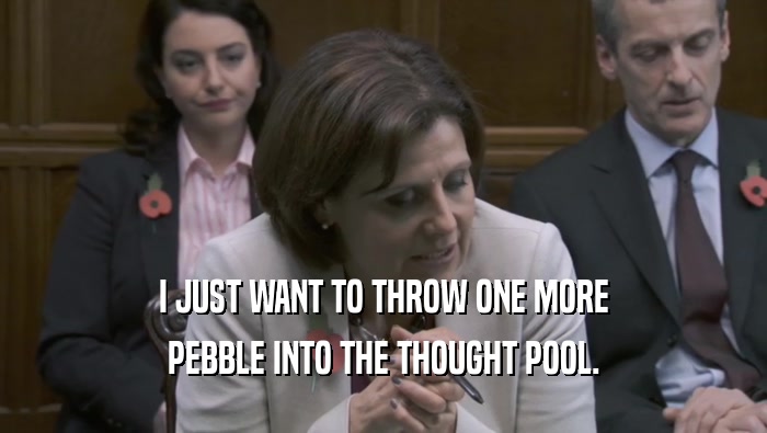 I JUST WANT TO THROW ONE MORE PEBBLE INTO THE THOUGHT POOL. 