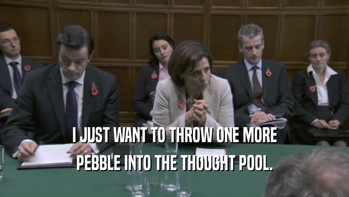 I JUST WANT TO THROW ONE MORE PEBBLE INTO THE THOUGHT POOL. 