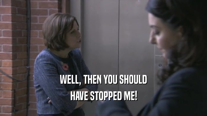 WELL, THEN YOU SHOULD HAVE STOPPED ME! 