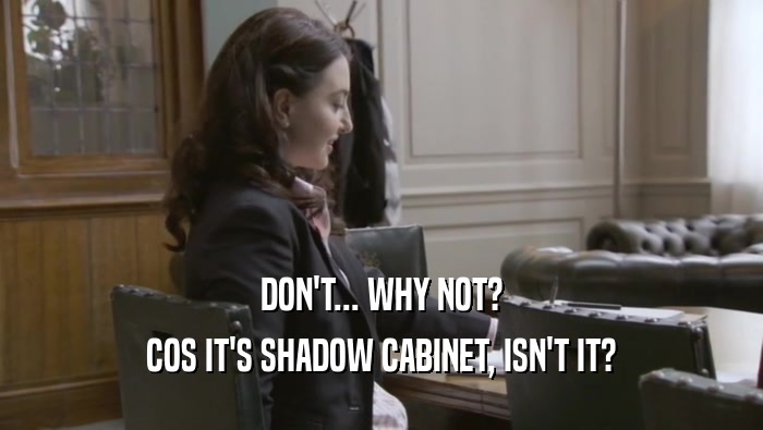 DON'T... WHY NOT? COS IT'S SHADOW CABINET, ISN'T IT? 