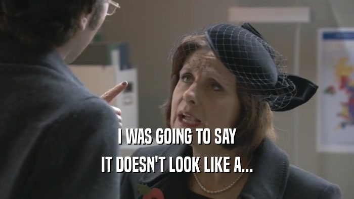 I WAS GOING TO SAY IT DOESN'T LOOK LIKE A... 