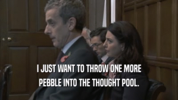 I JUST WANT TO THROW ONE MORE PEBBLE INTO THE THOUGHT POOL. 