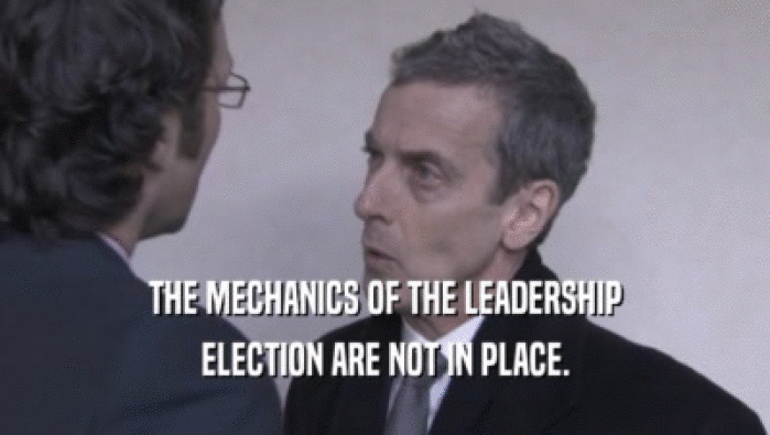 THE MECHANICS OF THE LEADERSHIP
 ELECTION ARE NOT IN PLACE.
 