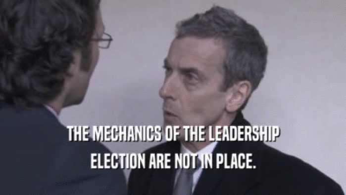 THE MECHANICS OF THE LEADERSHIP ELECTION ARE NOT IN PLACE. 